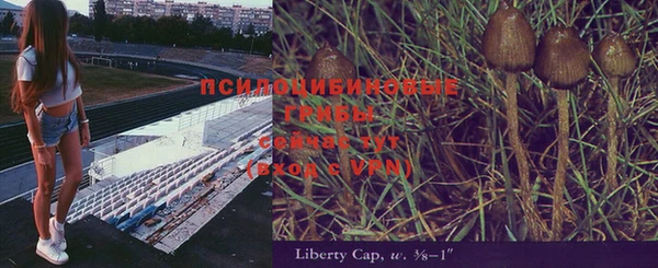 хмурый Лабытнанги