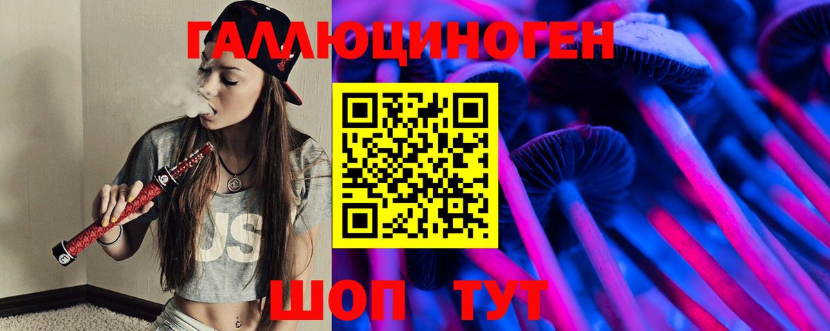 Сосновоборск  Галлюциногенные грибы Cubensis  купить   Вход с VPN 