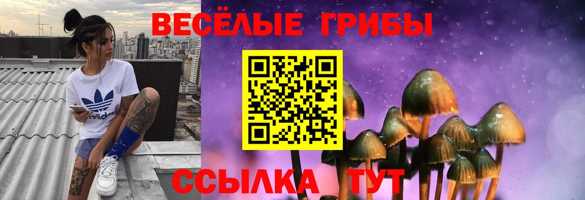 Псилоцибиновые грибы мицелий Сосновоборск
